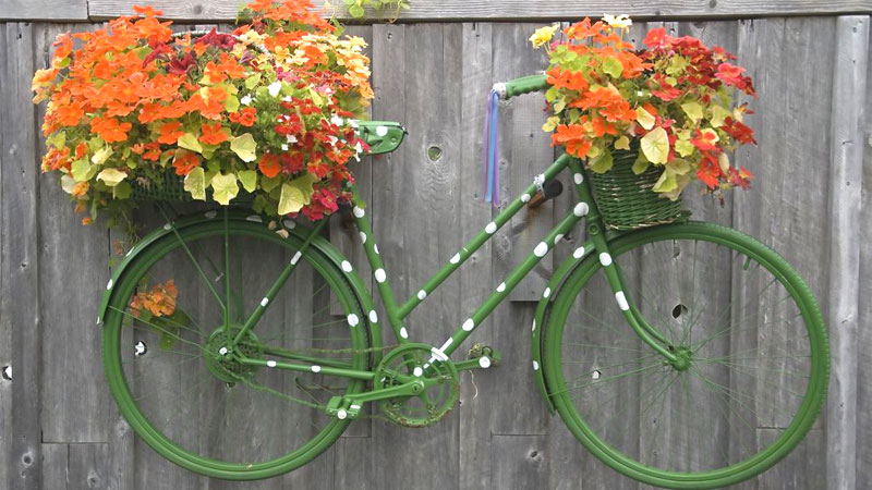 jardinera de bicicleta con lunares