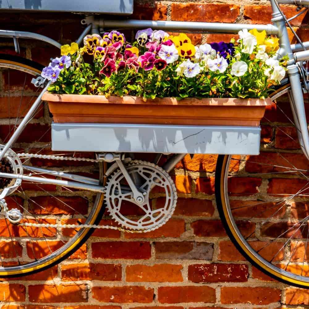 Jardinera de bicicletas